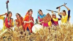Vaisakhi visuals 